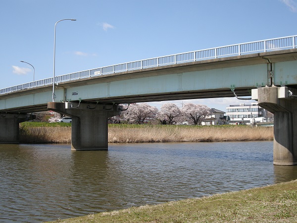 Zenigame Bridge over Sakura River